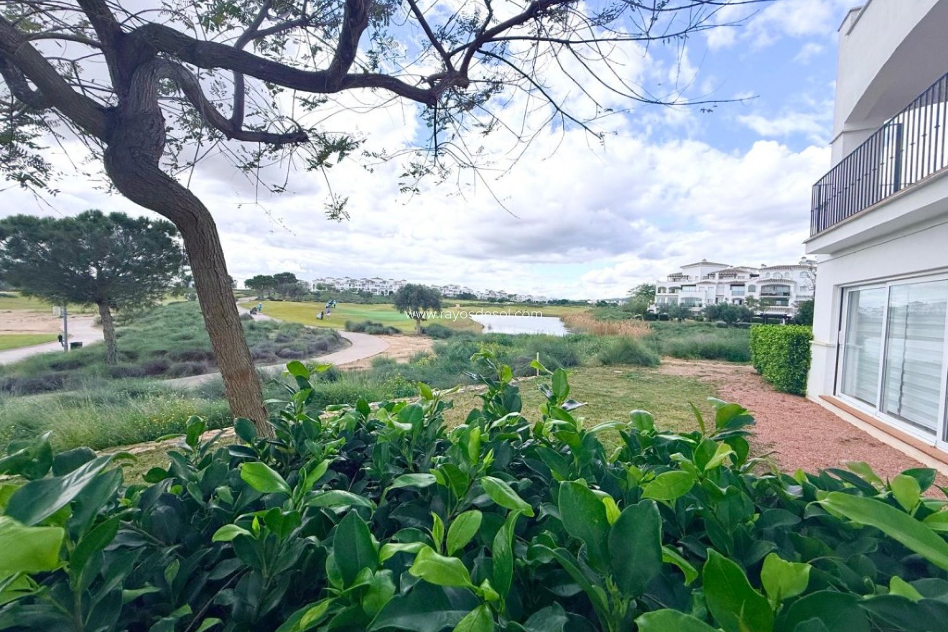 Herverkoop - Appartement - Hacienda Riquelme Golf Resort