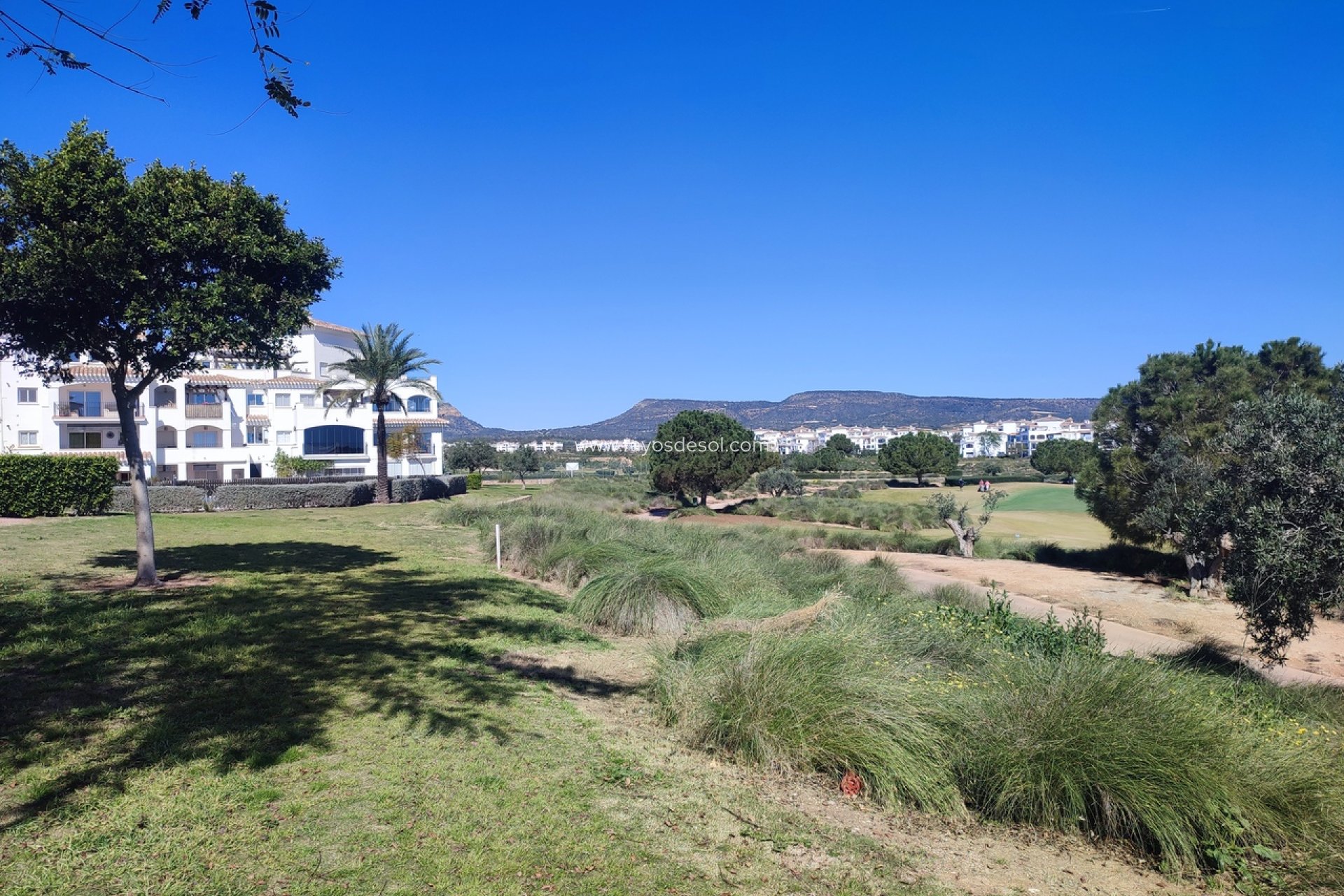 Herverkoop - Appartement - Hacienda Riquelme Golf Resort