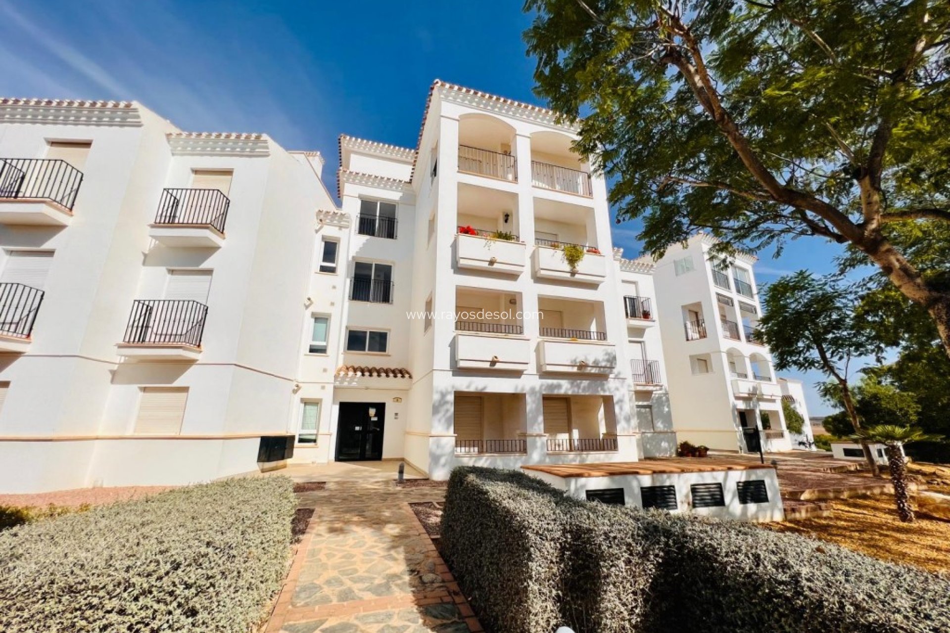 Herverkoop - Appartement - Hacienda Riquelme Golf Resort