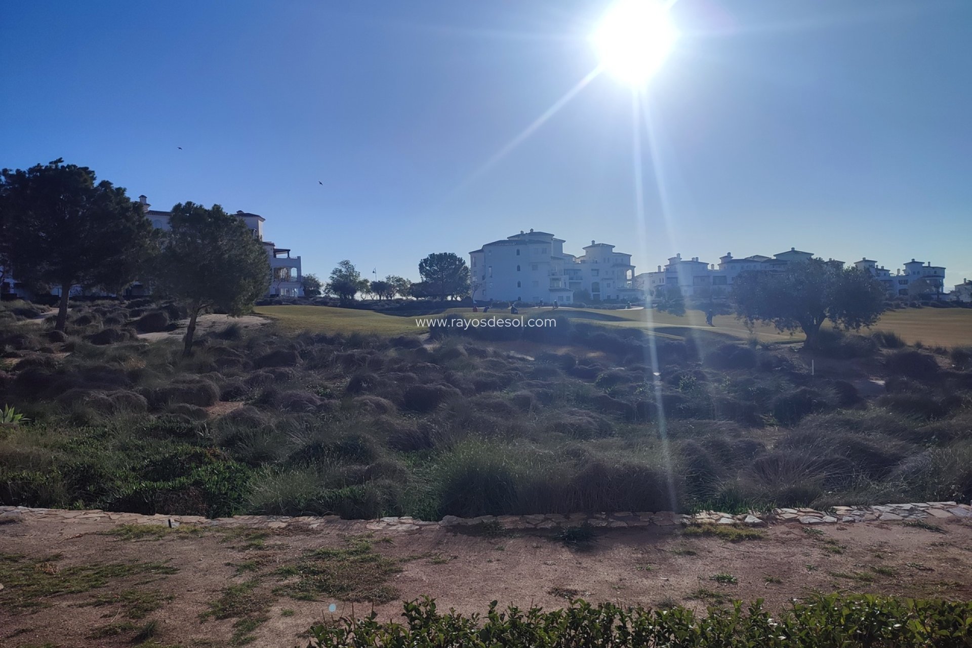 Herverkoop - Appartement - Hacienda Riquelme Golf Resort