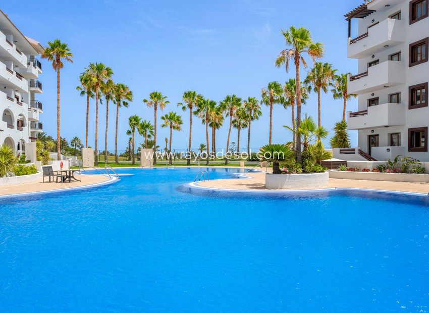Herverkoop - Appartement - Los Alcazares - Serena Golf