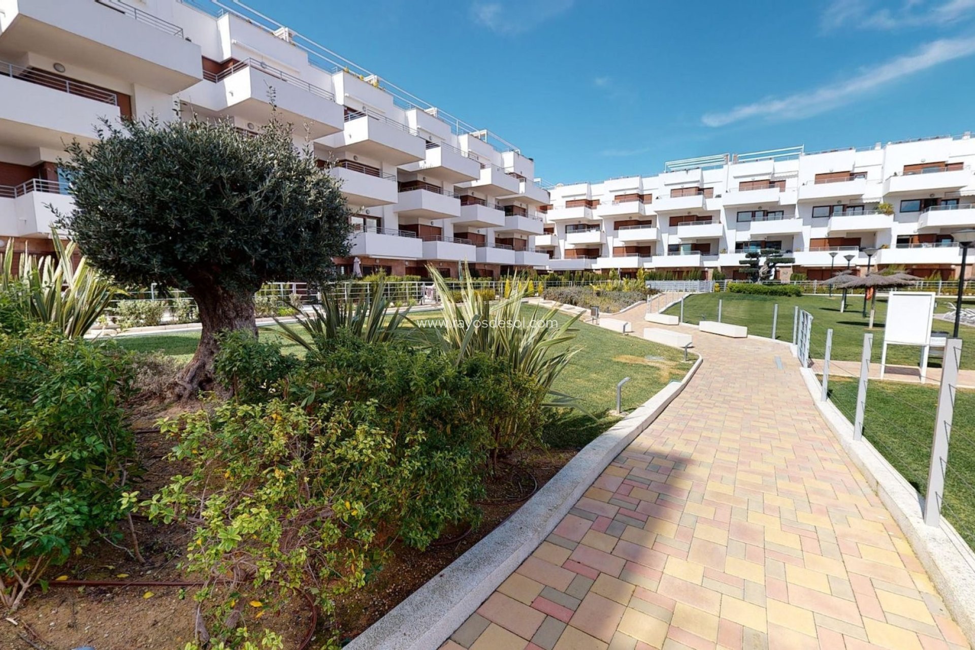 Herverkoop - Appartement - Orihuela Costa - Cabo roig - La Zenia