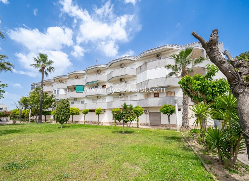 Herverkoop - Appartement - Orihuela Costa - Cabo roig - La Zenia