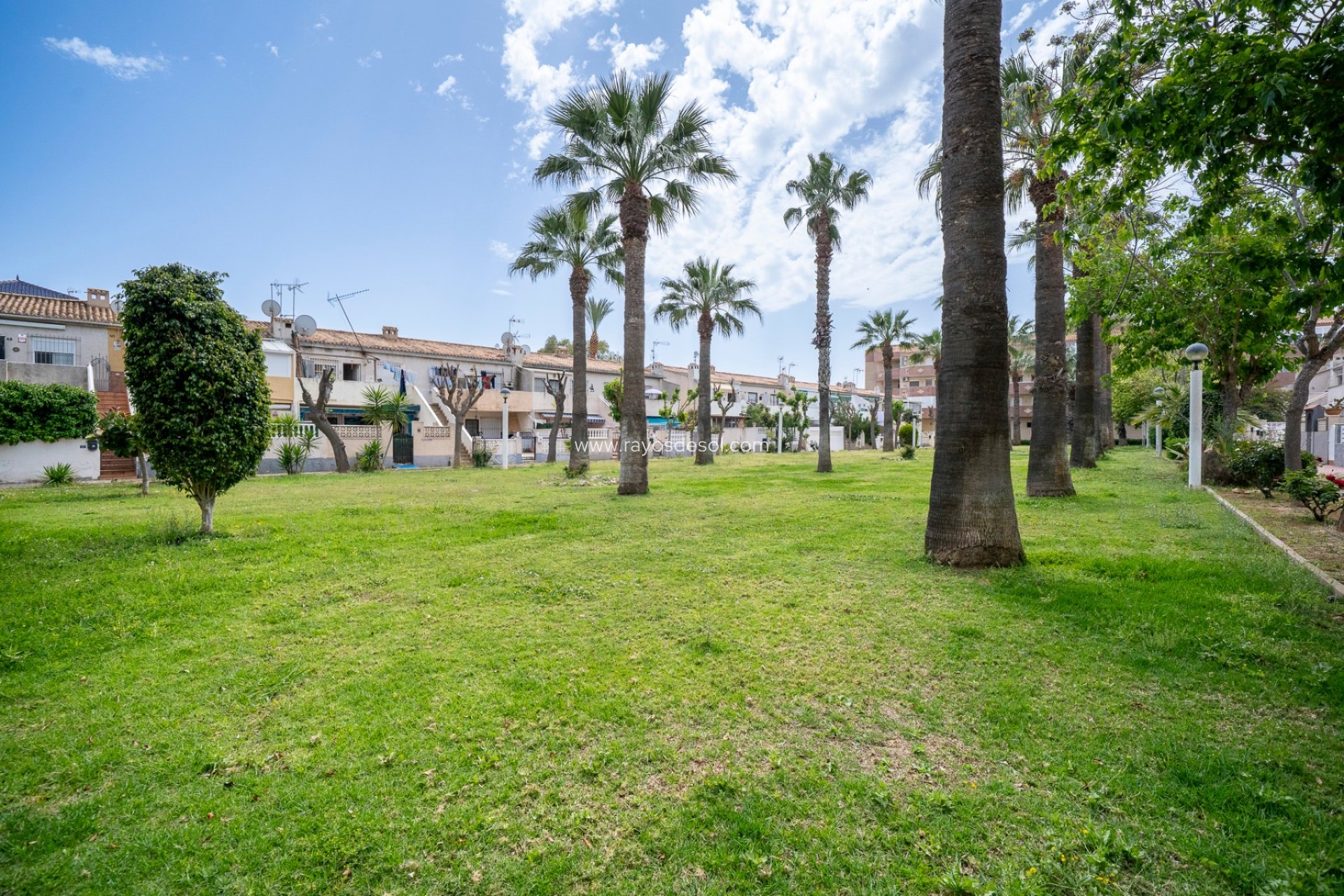 Herverkoop - Appartement - Orihuela Costa - Cabo roig - La Zenia