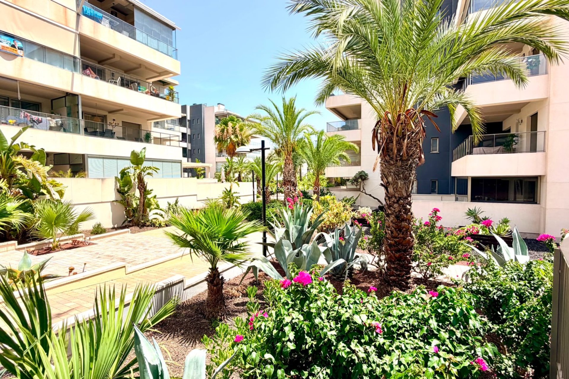 Herverkoop - Appartement - Orihuela Costa - Cabo roig - La Zenia