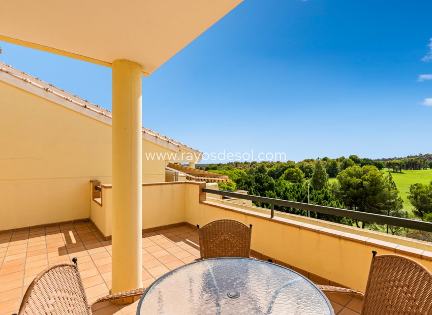 Herverkoop - Appartement - Orihuela Costa - Campoamor