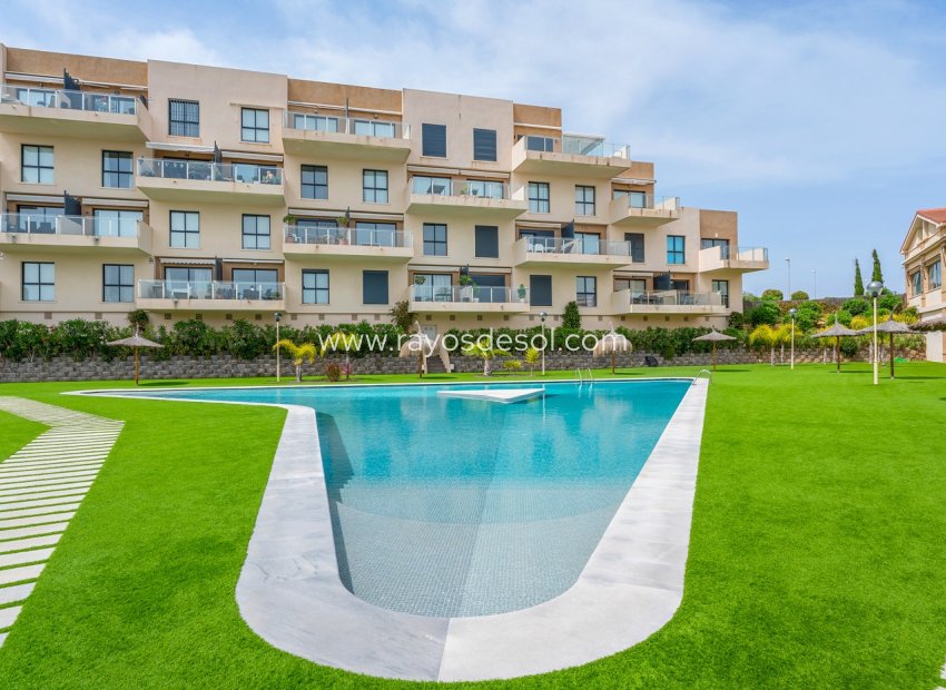 Herverkoop - Appartement - Orihuela Costa - La Zenia