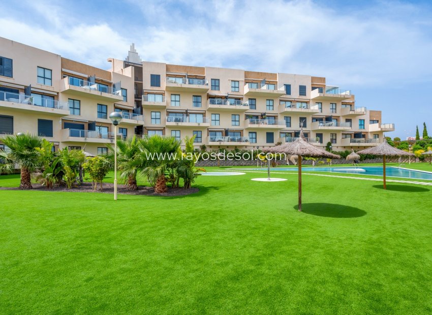 Herverkoop - Appartement - Orihuela Costa - La Zenia