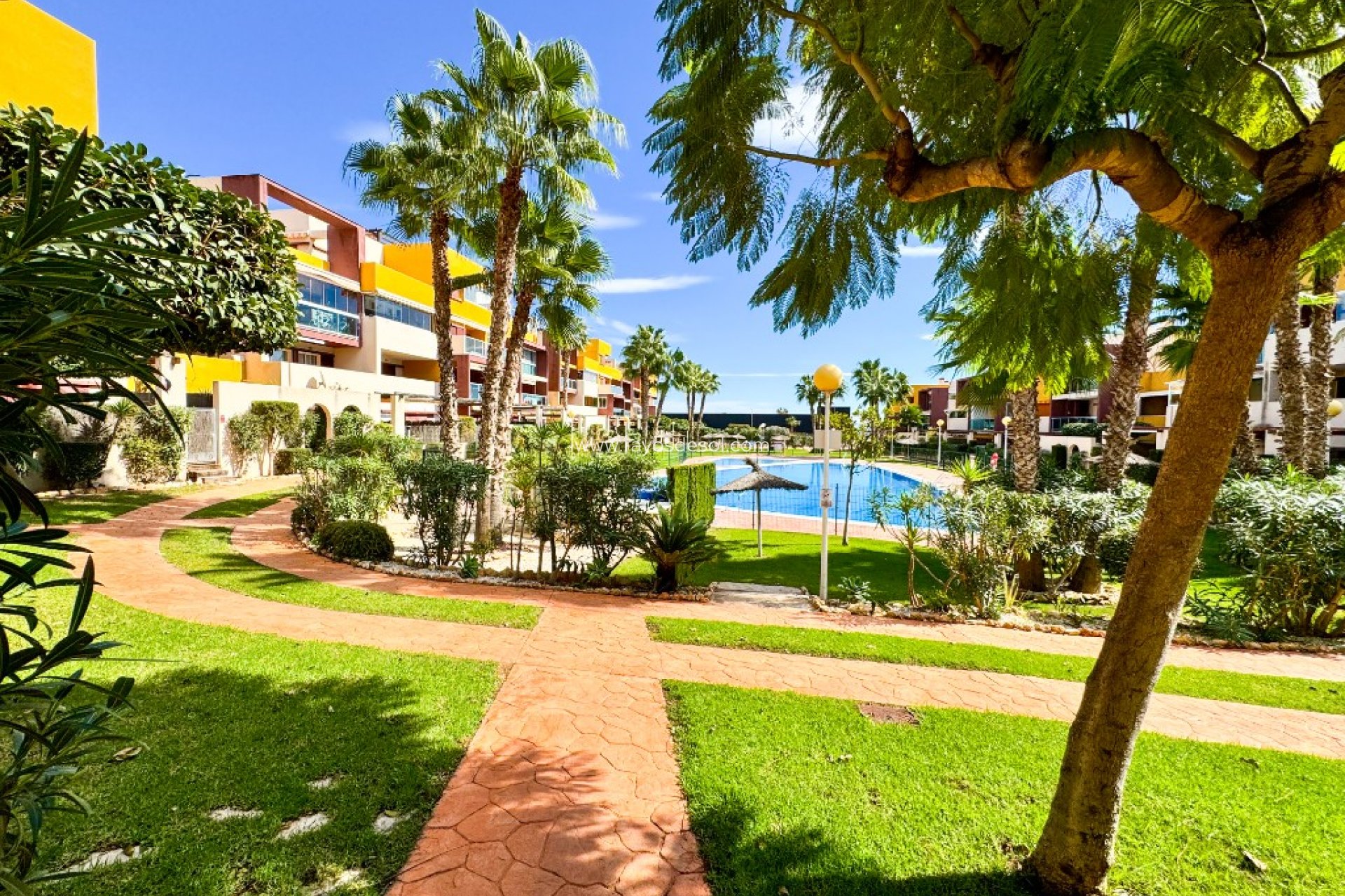 Herverkoop - Appartement - Orihuela Costa - Playa Flamenca