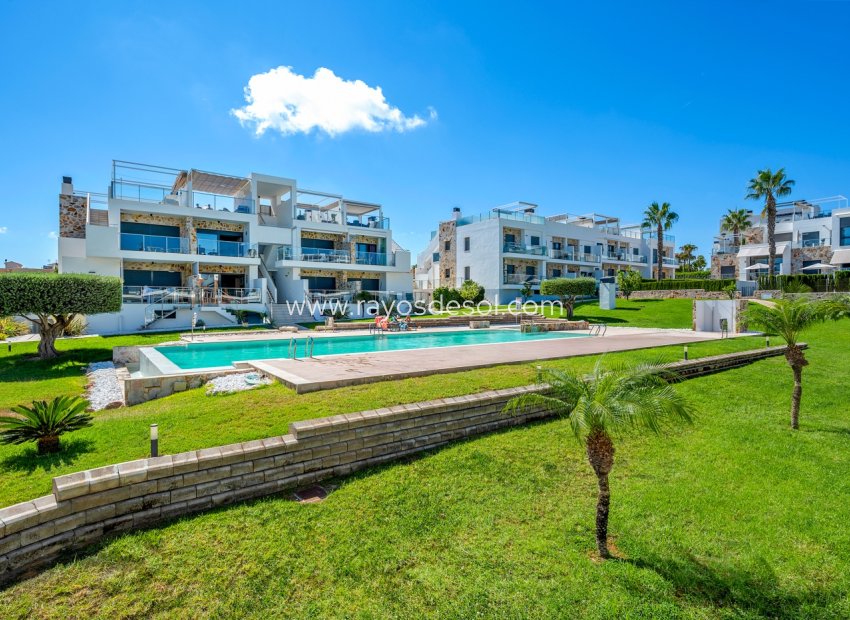 Herverkoop - Appartement - Orihuela Costa - Punta Prima