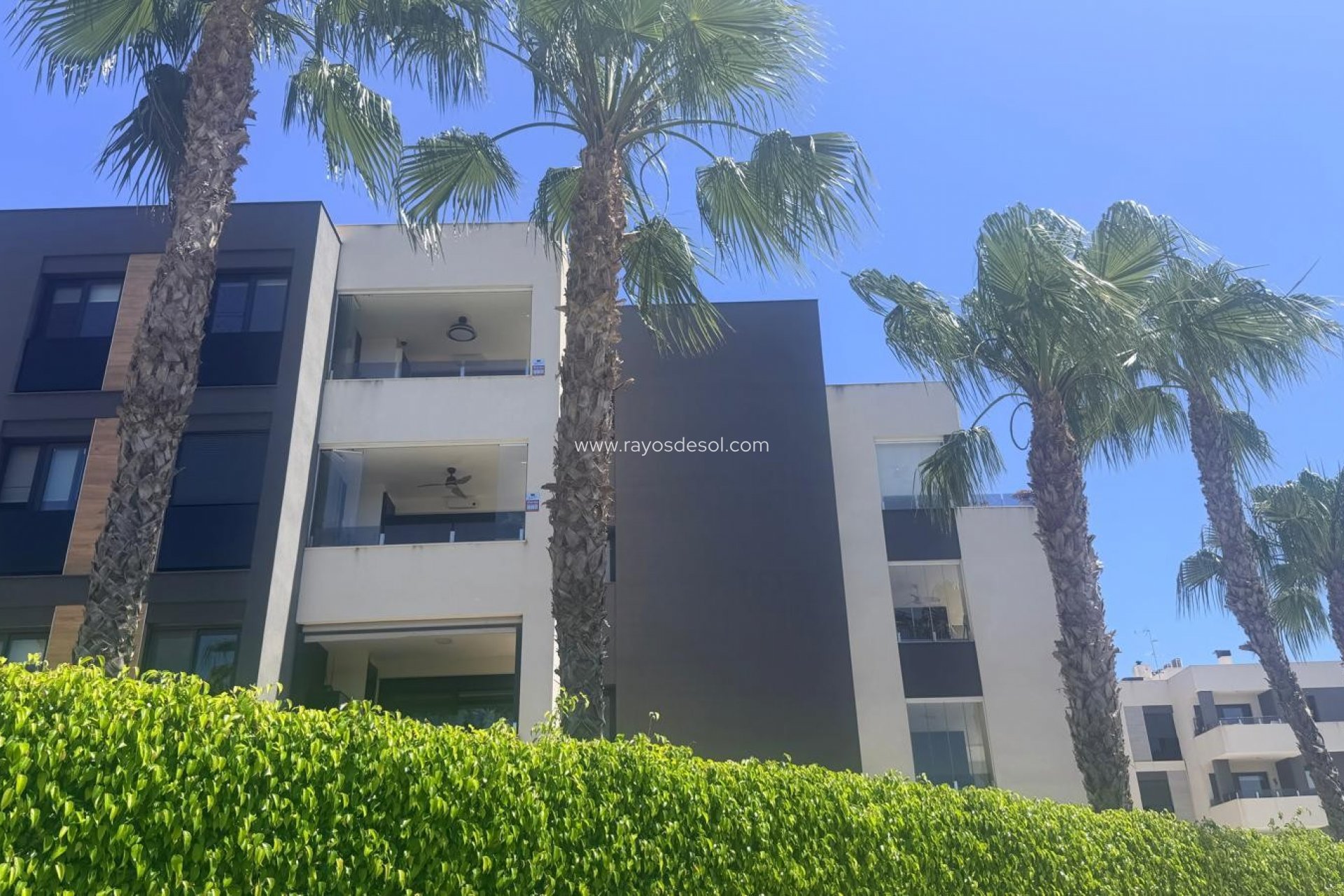 Herverkoop - Appartement - Orihuela Costa - Torrevieja