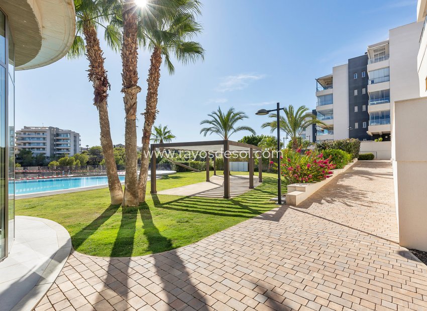 Herverkoop - Appartement - Orihuela Costa - Villamartín