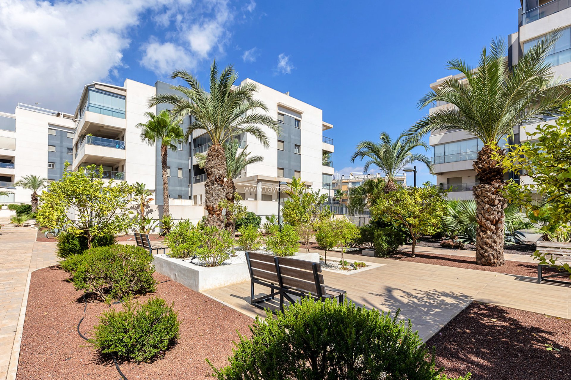 Herverkoop - Appartement - Orihuela Costa - Villamartín