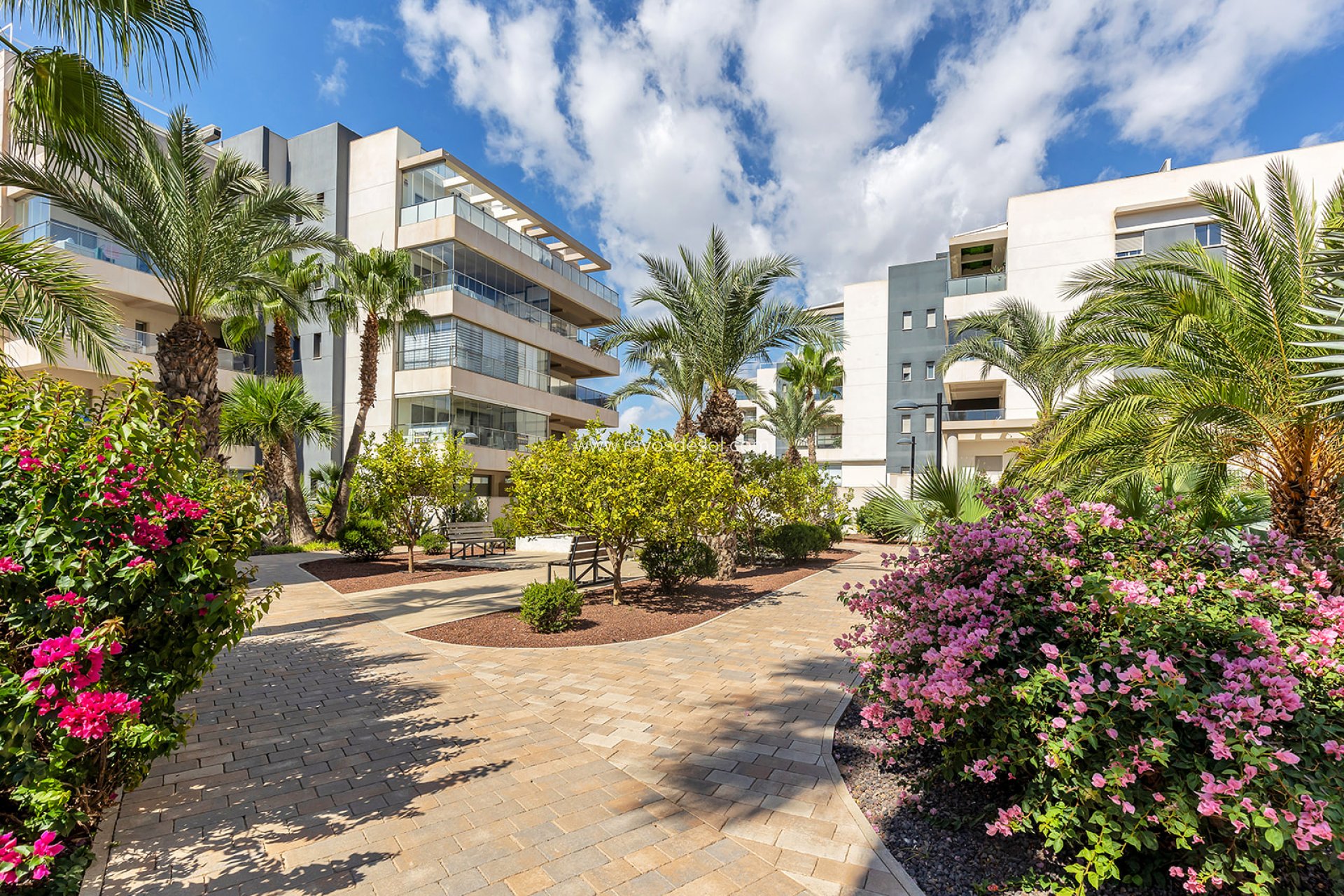 Herverkoop - Appartement - Orihuela Costa - Villamartín