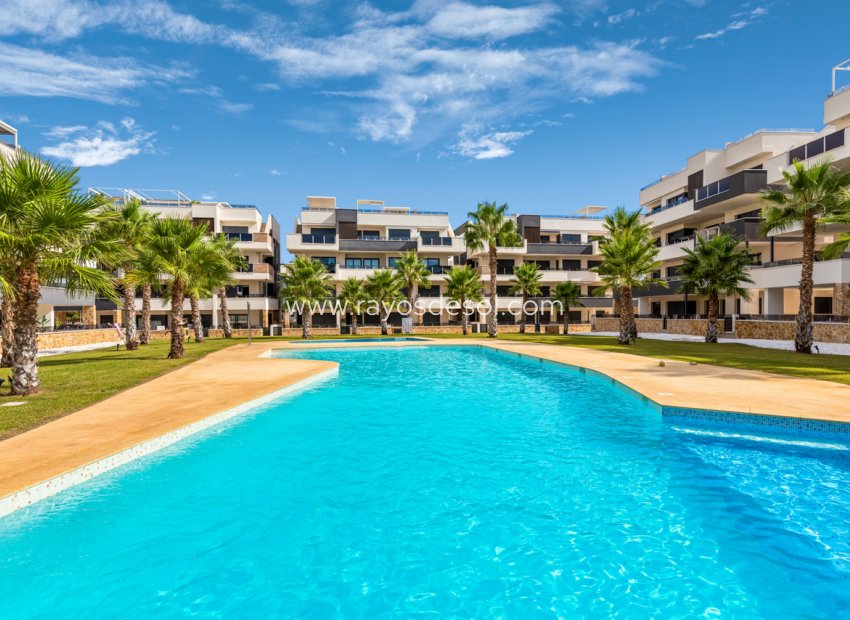 Herverkoop - Appartement - Orihuela Costa - Villamartin