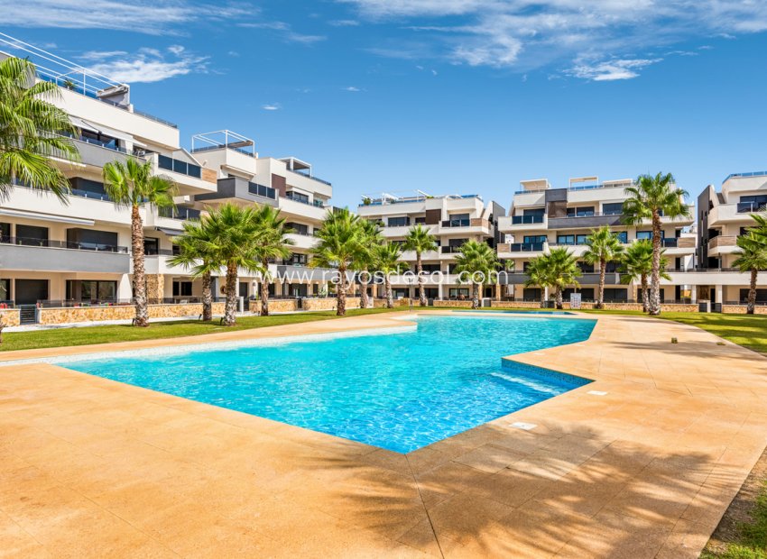 Herverkoop - Appartement - Orihuela Costa - Villamartin