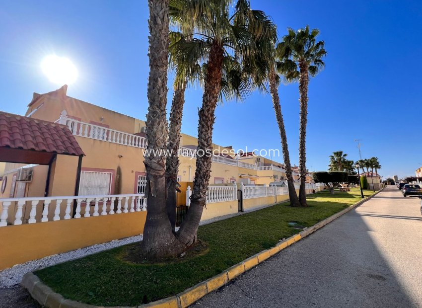 Herverkoop - Appartement - Orihuela Costa