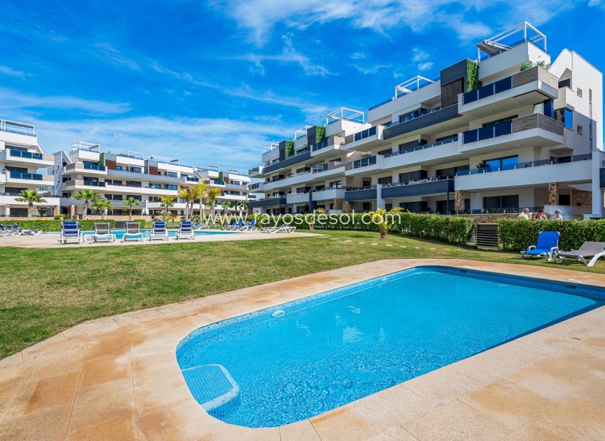 Herverkoop - Appartement - Orihuela Costa