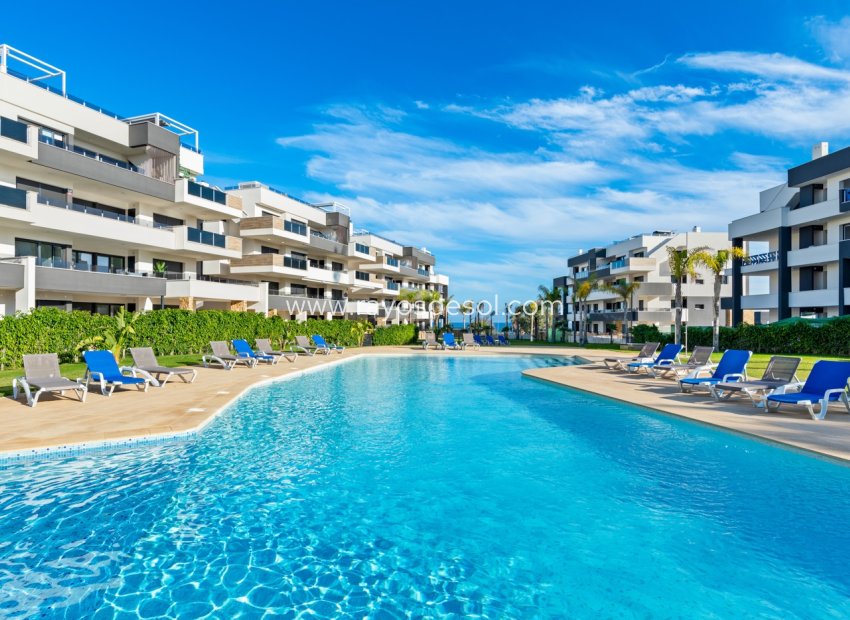 Herverkoop - Appartement - Orihuela Costa