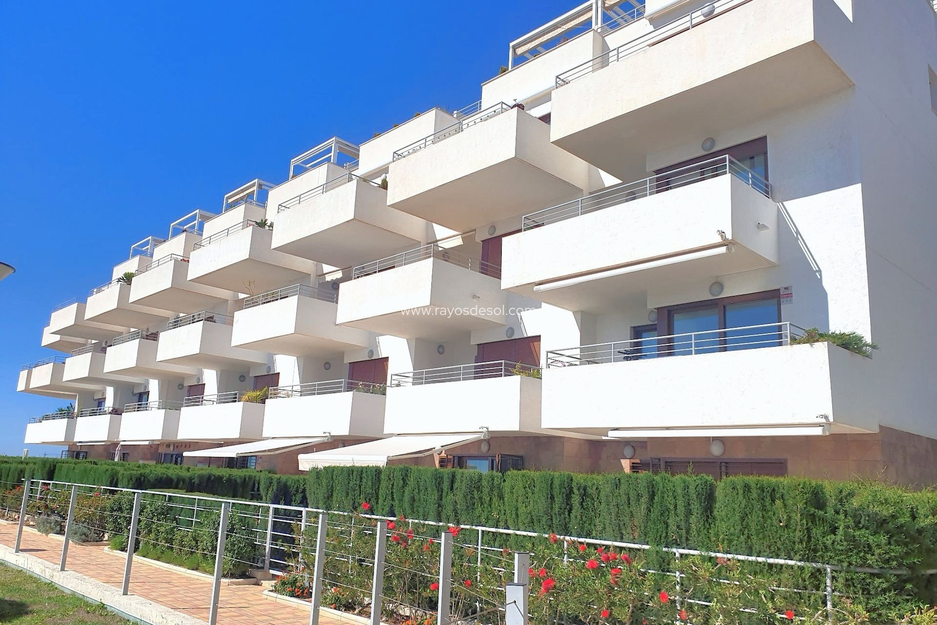 Herverkoop - Appartement - Orihuela Costa