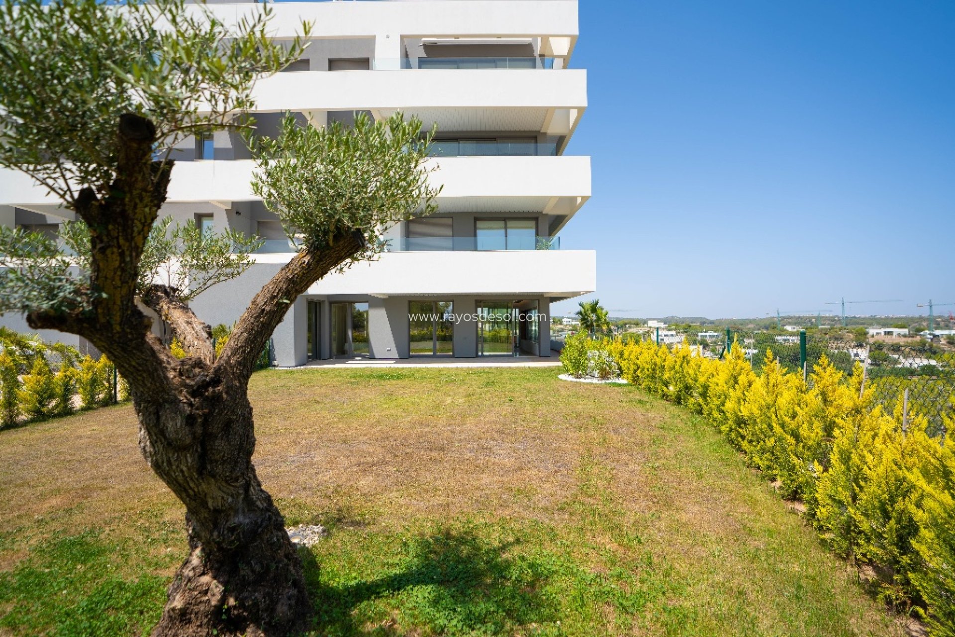 Herverkoop - Appartement - Orihuela - Las Colinas Golf