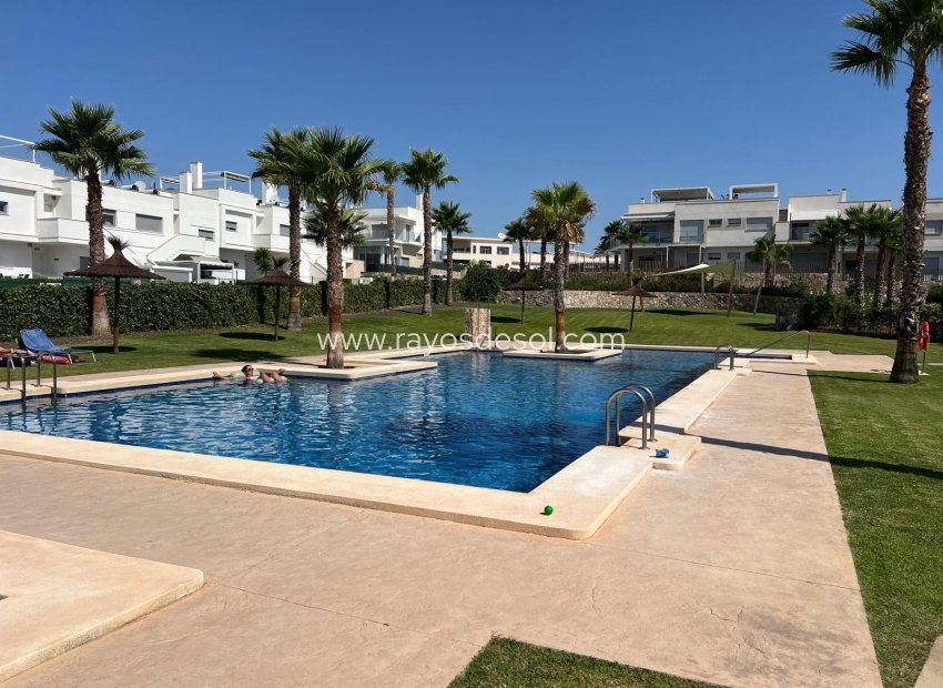 Herverkoop - Appartement - Orihuela - Vistabella Golf