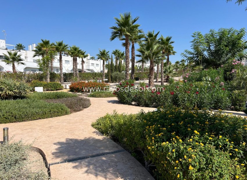 Herverkoop - Appartement - Orihuela - Vistabella Golf