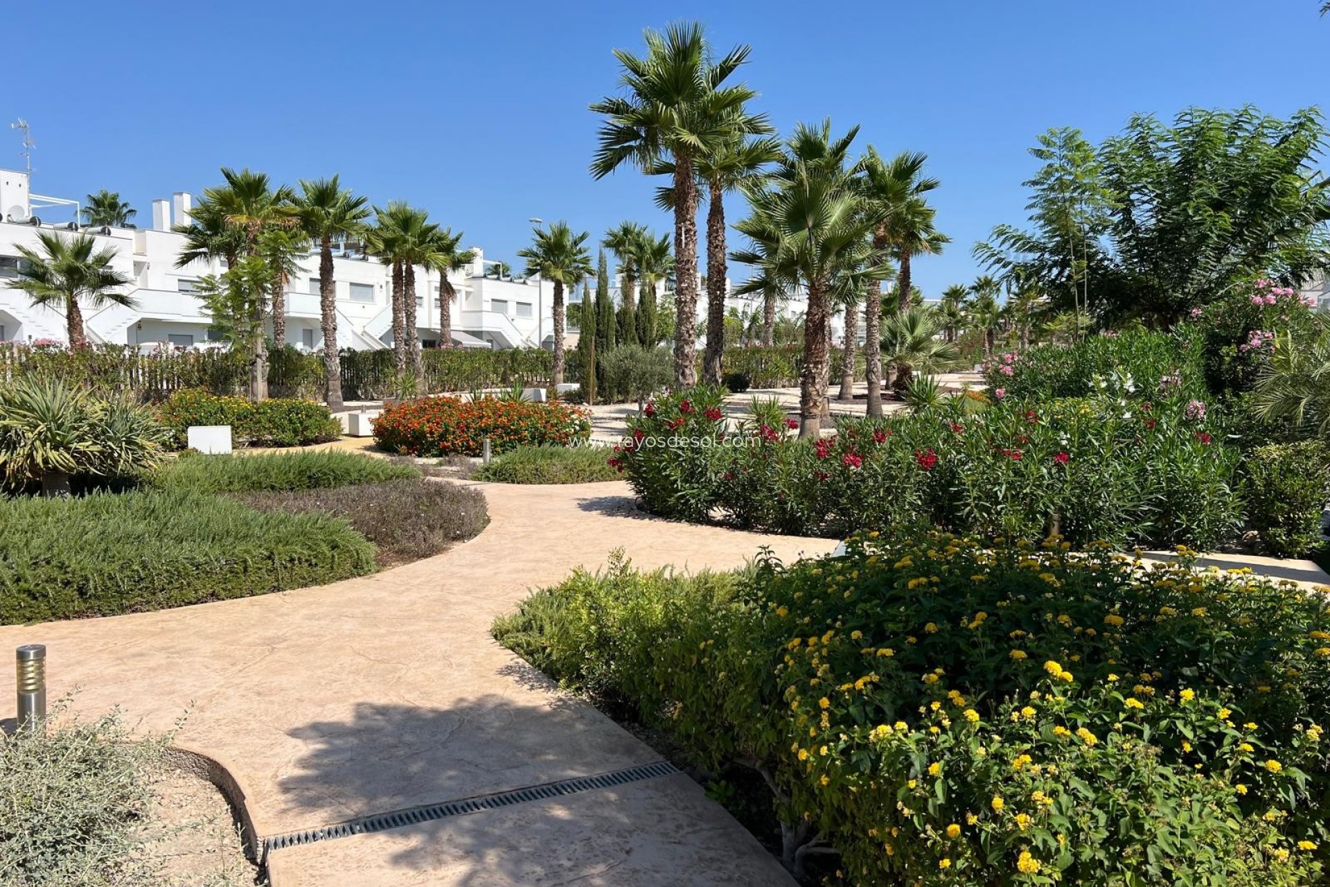 Herverkoop - Appartement - Orihuela - Vistabella Golf