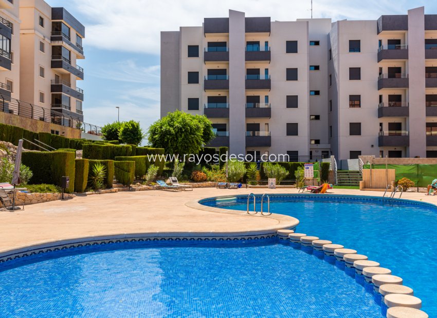 Herverkoop - Appartement - San Miguel de Salinas