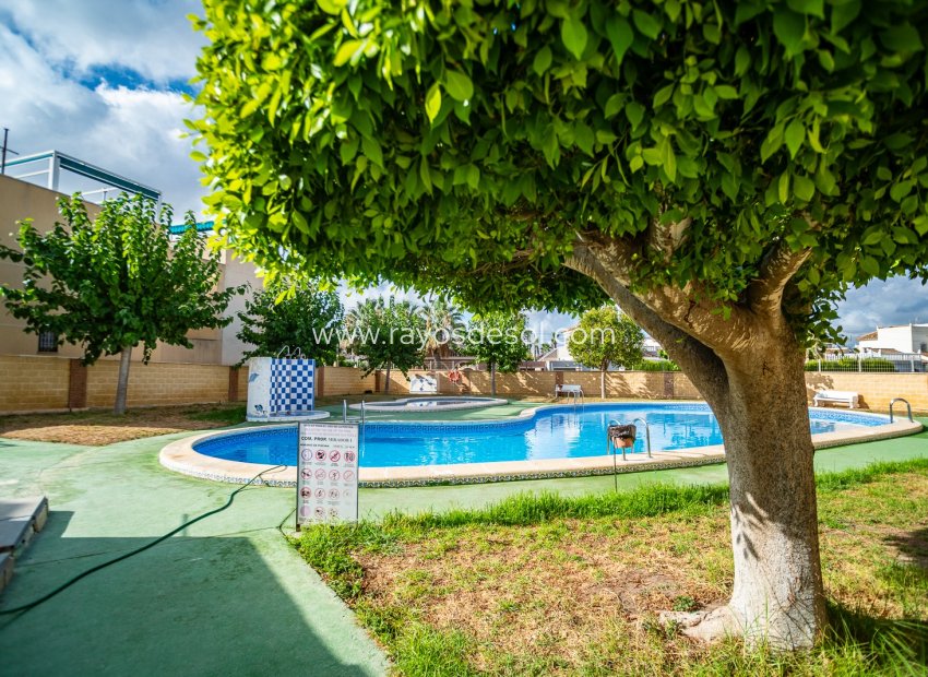 Herverkoop - Appartement - Torrevieja - El Chaparral