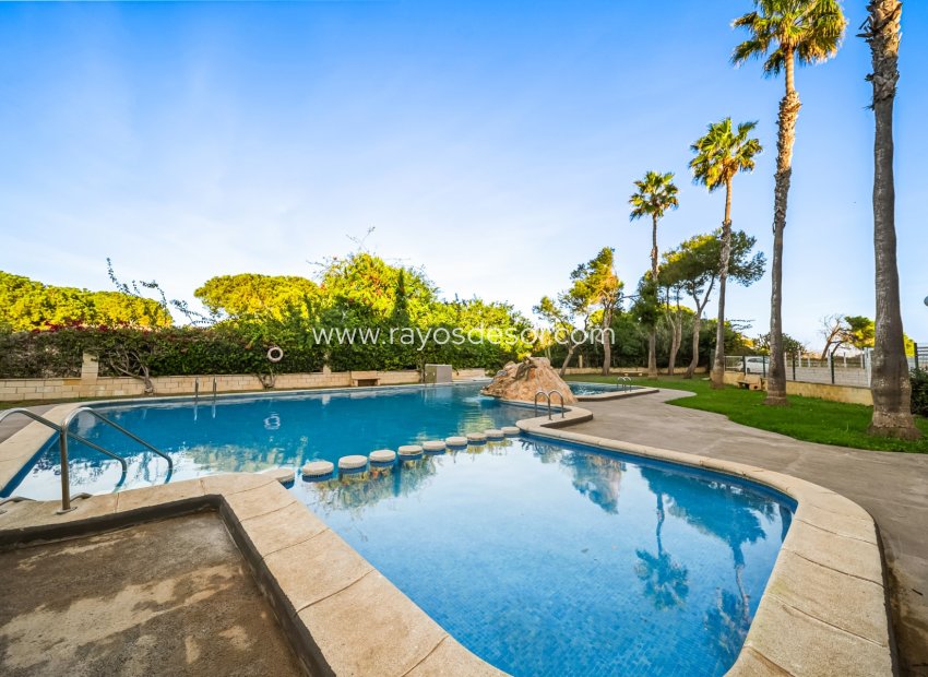Herverkoop - Appartement - Torrevieja - La Mata