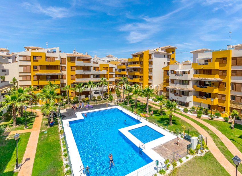 Herverkoop - Appartement - Torrevieja - La Recoleta