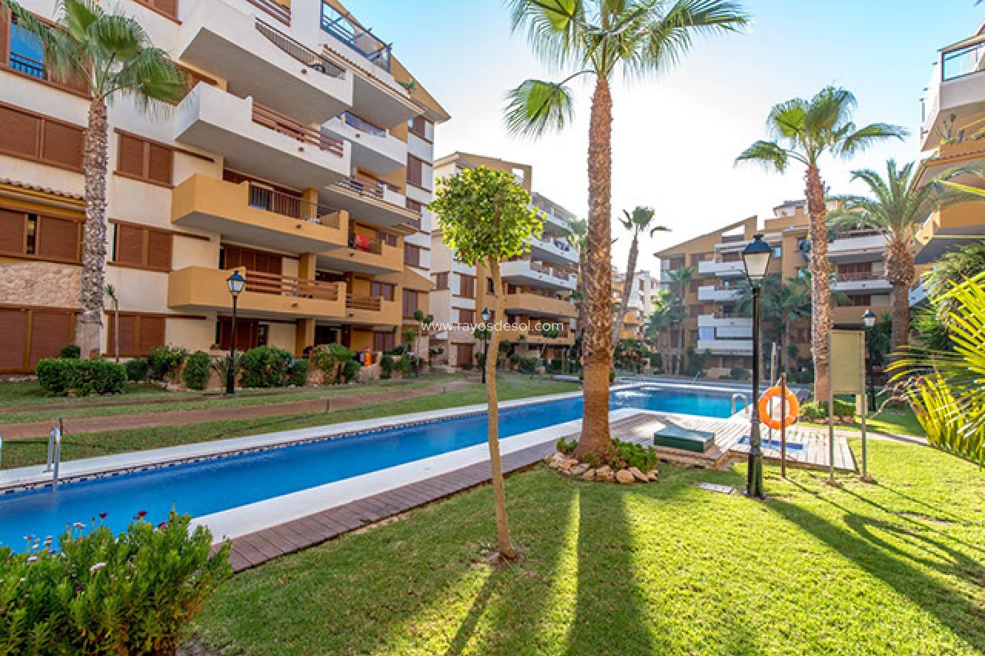 Herverkoop - Appartement - Torrevieja - La Recoleta