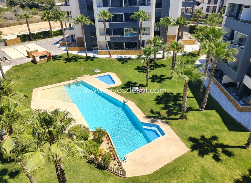 Herverkoop - Appartement - Torrevieja - Los Altos