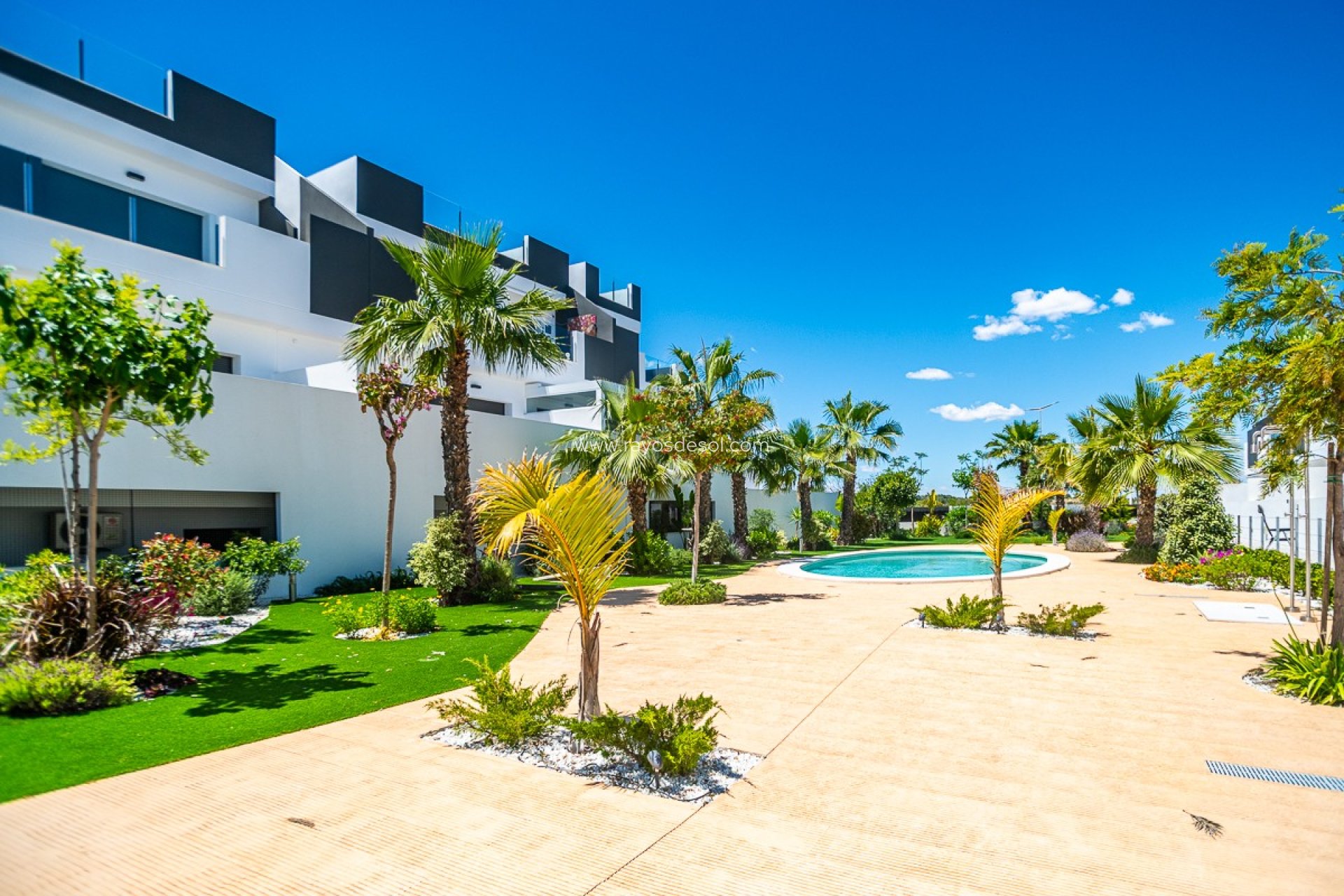 Herverkoop - Appartement - Torrevieja - LOS BALCONES - LOS ALTOS