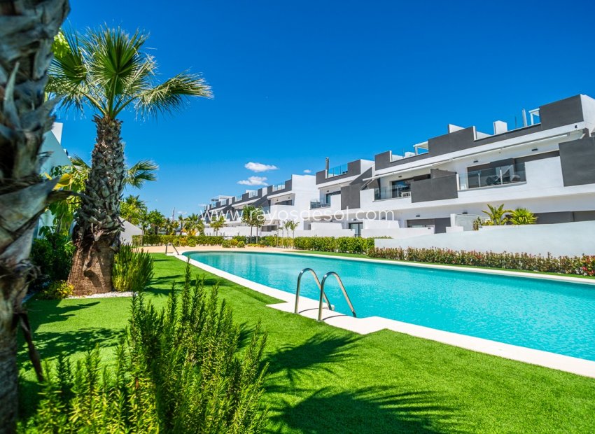 Herverkoop - Appartement - Torrevieja - LOS BALCONES - LOS ALTOS
