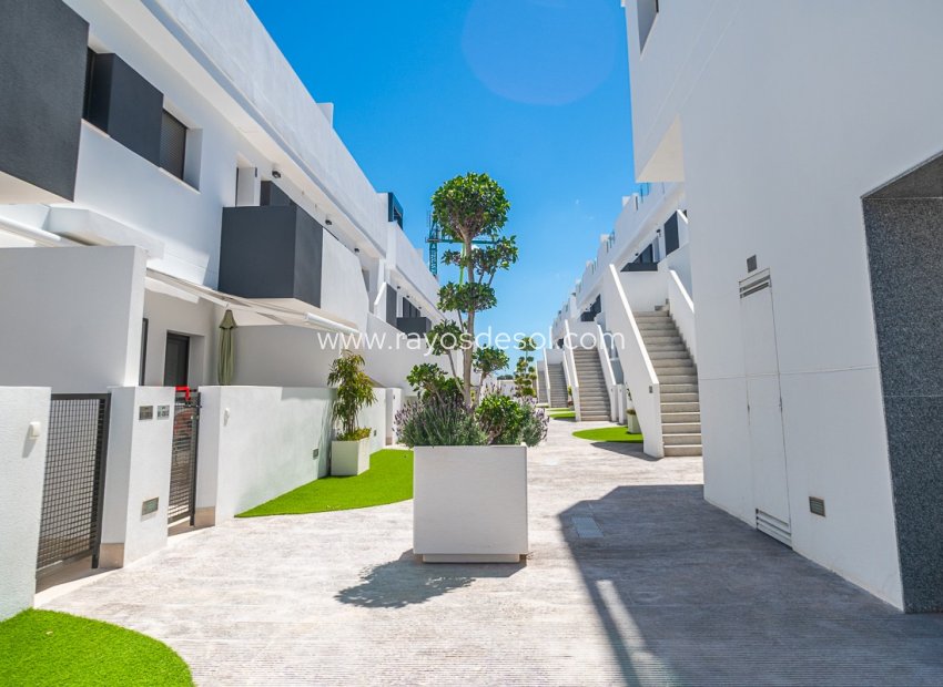 Herverkoop - Appartement - Torrevieja - LOS BALCONES - LOS ALTOS