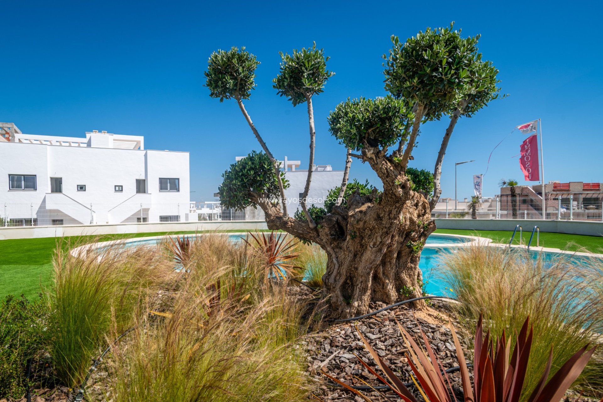 Herverkoop - Appartement - Torrevieja - Los Balcones