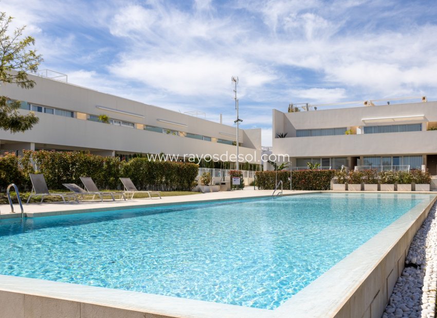 Herverkoop - Appartement - Torrevieja - Los Balcones