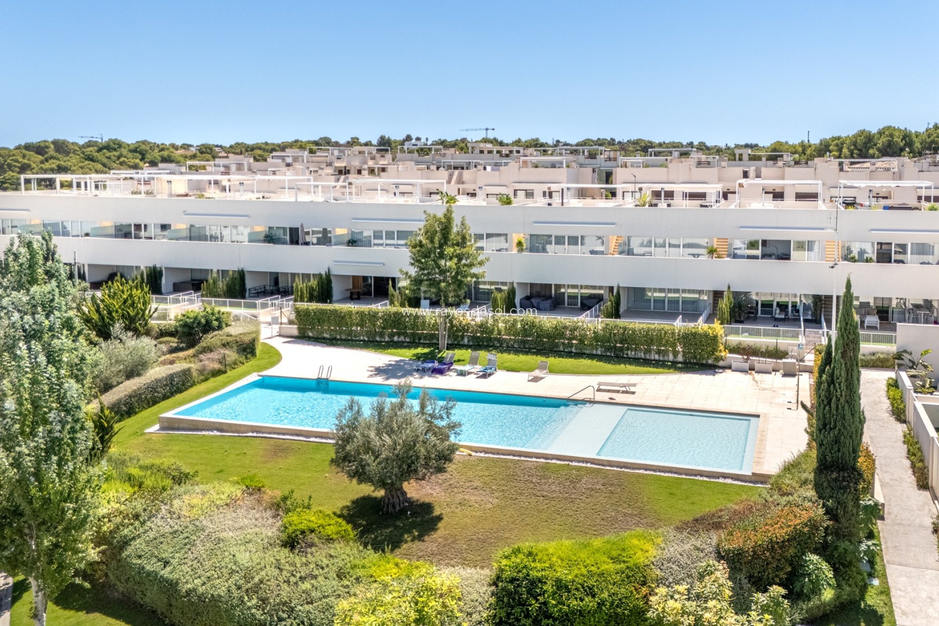 Herverkoop - Appartement - Torrevieja - Los Balcones