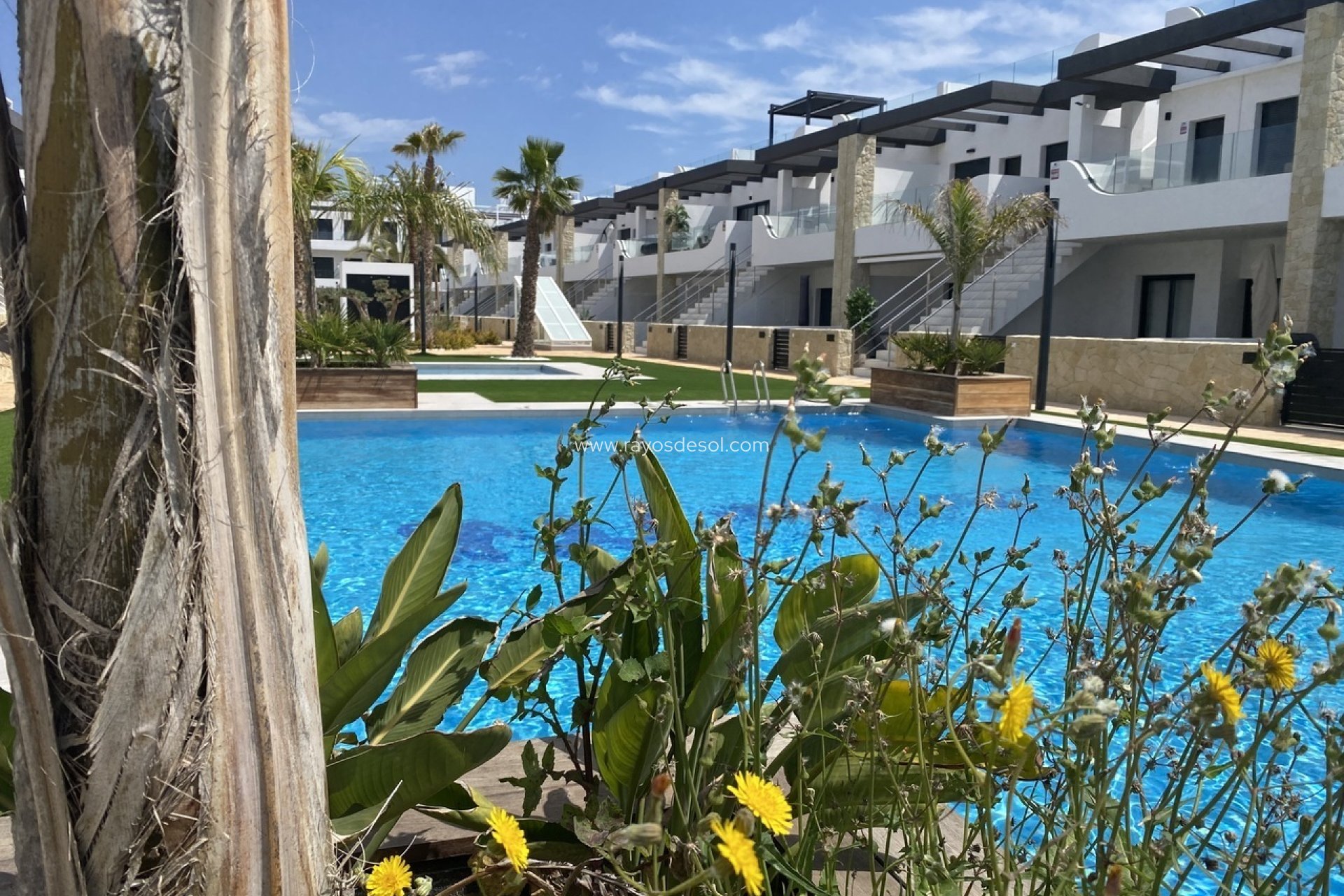 Herverkoop - Appartement - Torrevieja - Punta Prima