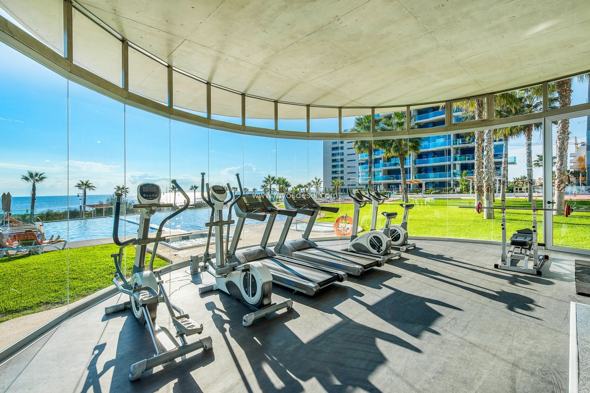 Herverkoop - Appartement - Torrevieja - Punta Prima