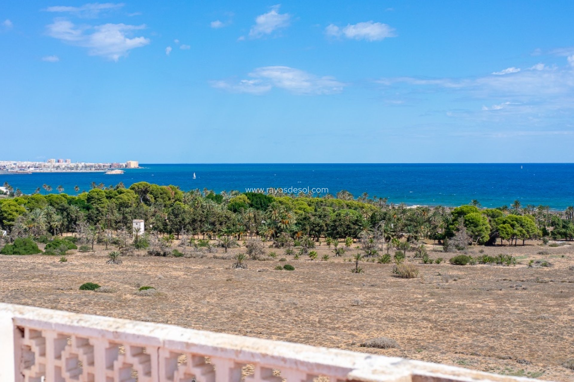 Herverkoop - Appartement - Torrevieja - Punta Prima