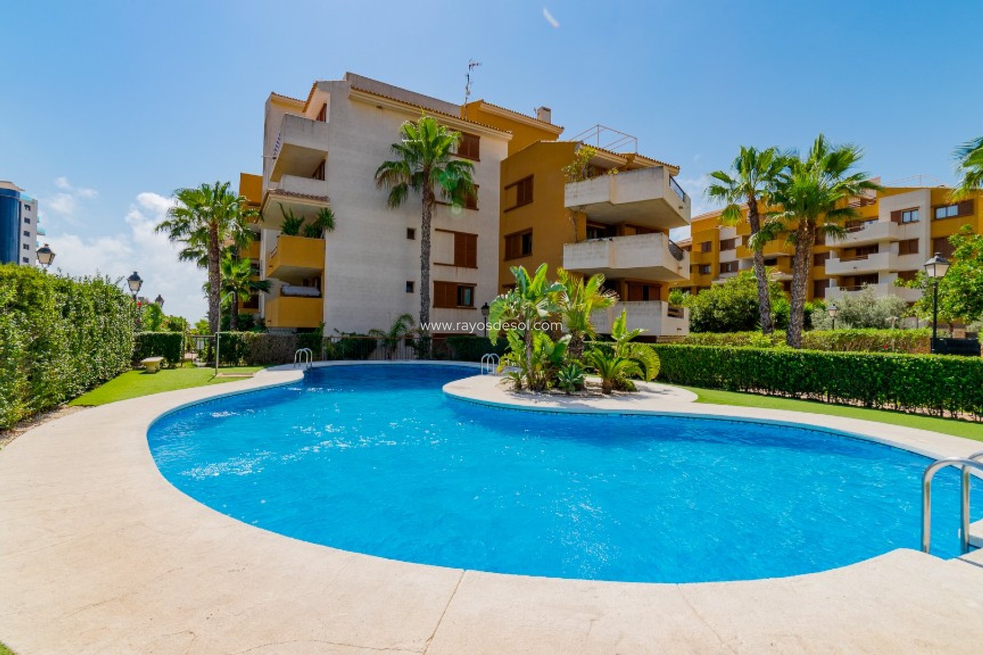 Herverkoop - Appartement - Torrevieja - Punta Prima