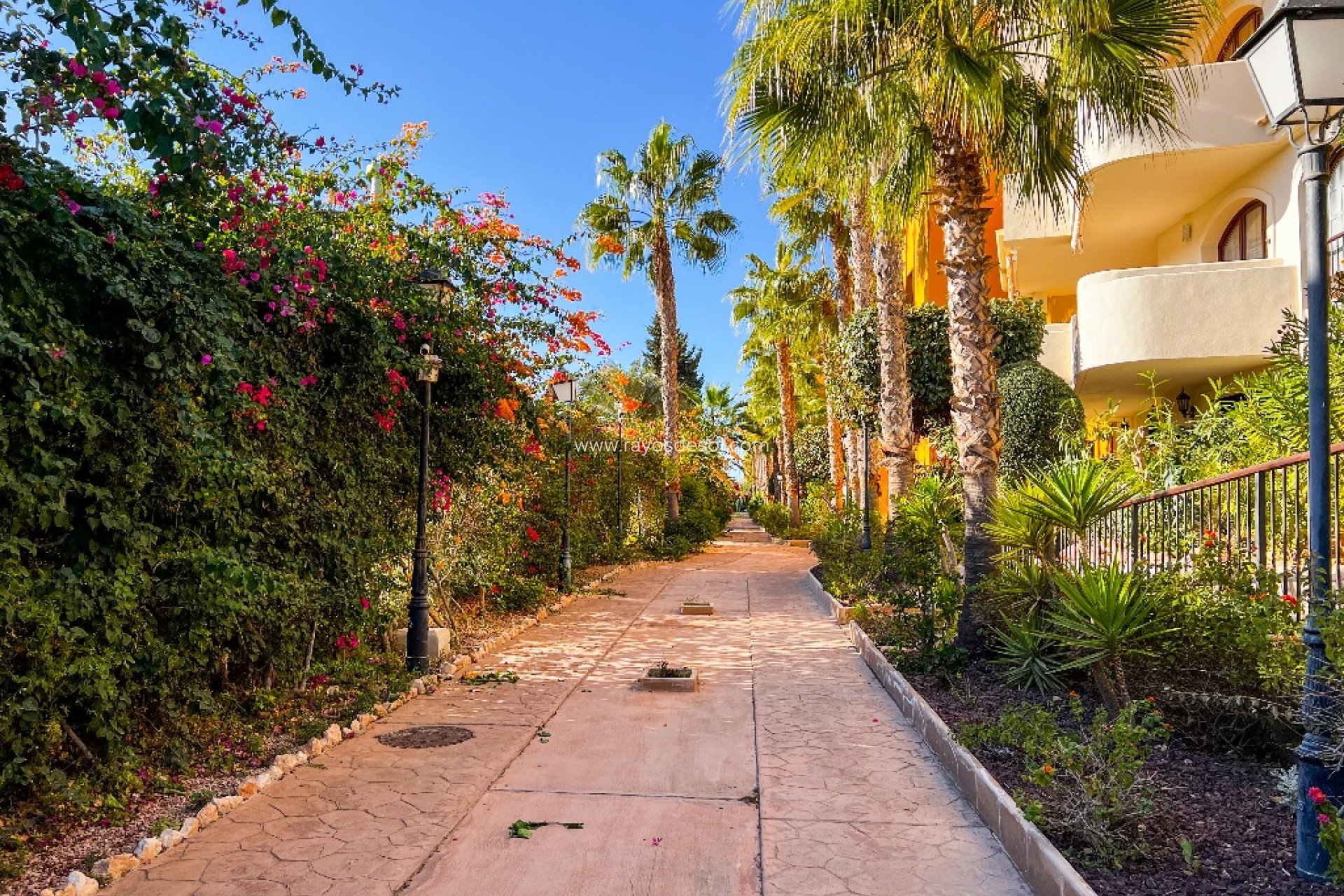 Herverkoop - Appartement - Torrevieja - Punta Prima