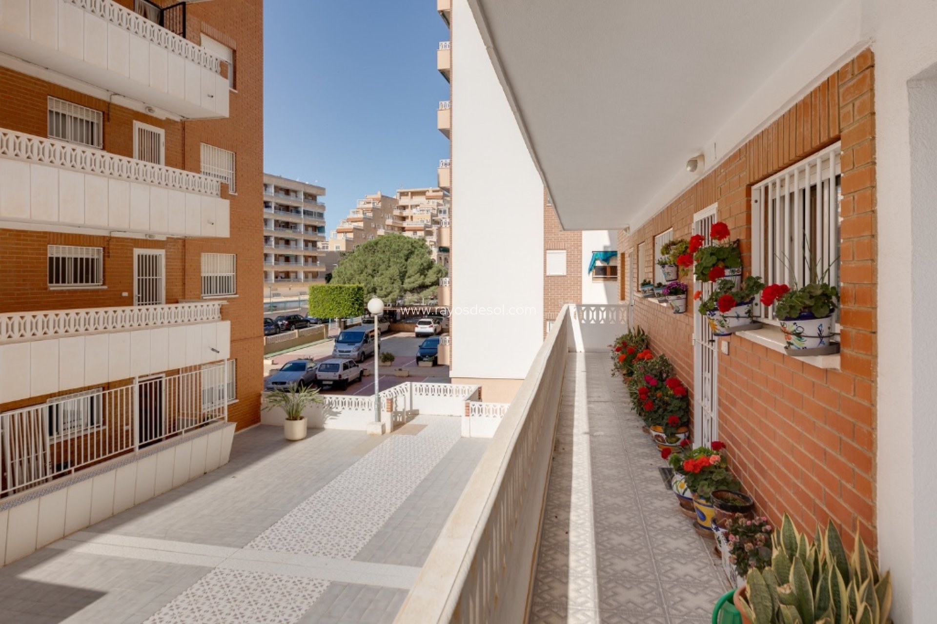 Herverkoop - Appartement - Torrevieja - Punta Prima