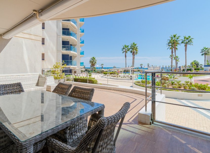Herverkoop - Appartement - Torrevieja - Punta Prima