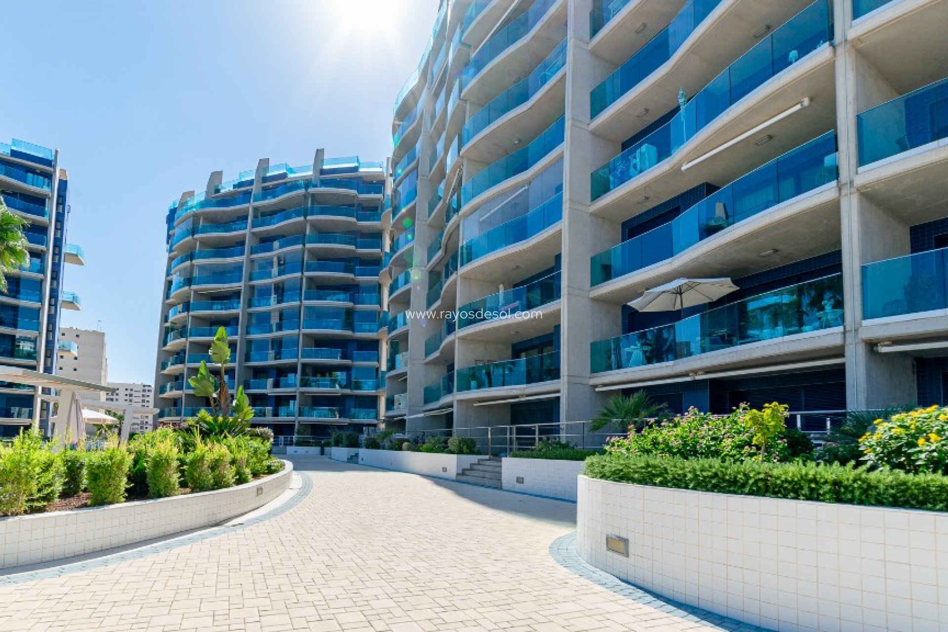 Herverkoop - Appartement - Torrevieja - Punta Prima