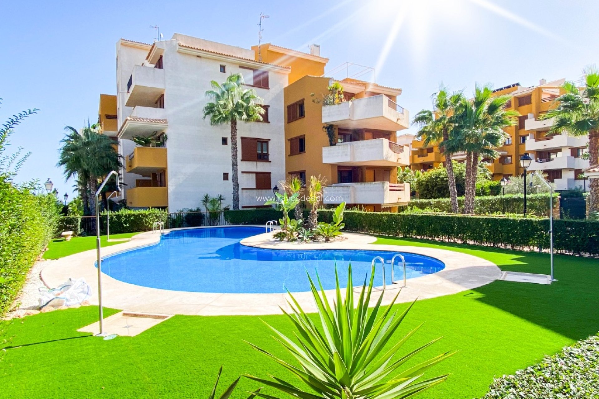 Herverkoop - Appartement - Torrevieja - Punta Prima