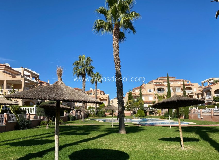 Herverkoop - Appartement - Torrevieja - Punta Prima